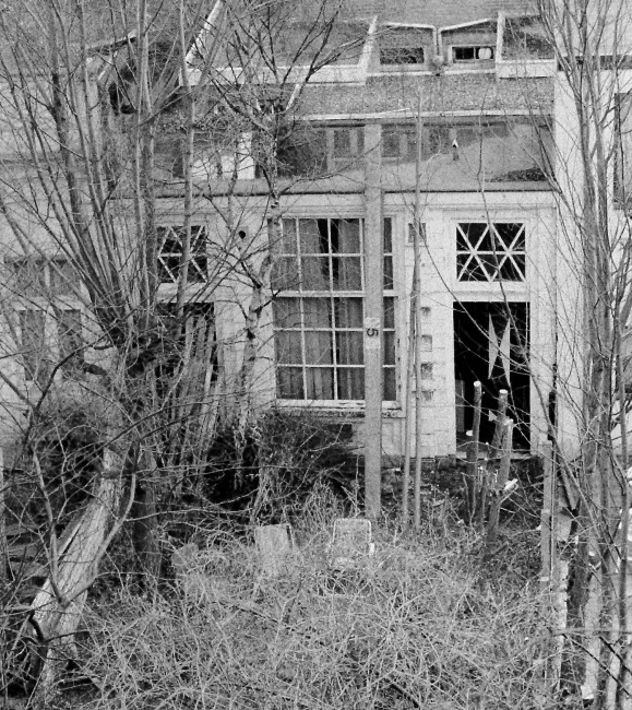 Het tuinhuis en de verwaarloosde tuin in 1979-1980